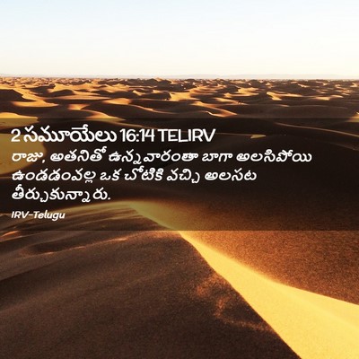 Picture 02 - 2 సమూయేలు 16:14 TELIRV - రాజు, అతనితో - Bible Verse Picture