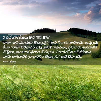 Picture 02 - 2 సమూయేలు 16:2 TELIRV - రాజు “ఇవి ఎందుకు - Bible Verse Picture