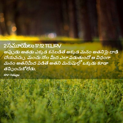 Picture 02 - 2 సమూయేలు 17:12 TELIRV - అప్పుడు అతడు - Bible Verse Picture