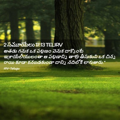 Picture 02 - 2 సమూయేలు 17:13 TELIRV - అతడు గనుక ఒక - Bible Verse Picture