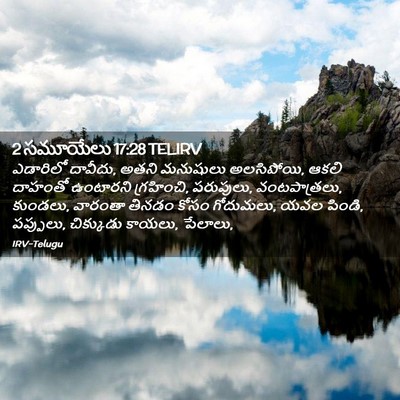 Picture 02 - 2 సమూయేలు 17:28 TELIRV - ఎడారిలో దావీదు, - Bible Verse Picture