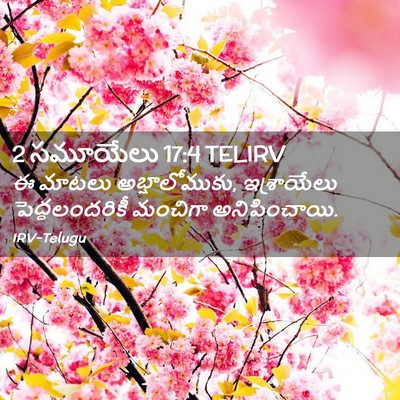 Picture 02 - 2 సమూయేలు 17:4 TELIRV - ఈ మాటలు - Bible Verse Picture