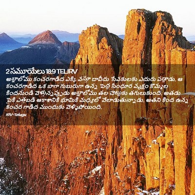 Picture 02 - 2 సమూయేలు 18:9 TELIRV - అబ్షాలోము - Bible Verse Picture