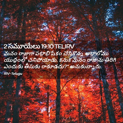 Picture 02 - 2 సమూయేలు 19:10 TELIRV - మనం రాజుగా - Bible Verse Picture