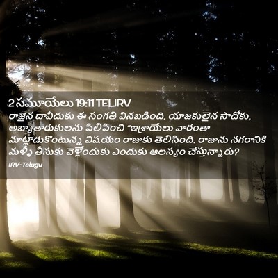 Picture 02 - 2 సమూయేలు 19:11 TELIRV - రాజైన దావీదుకు ఈ - Bible Verse Picture