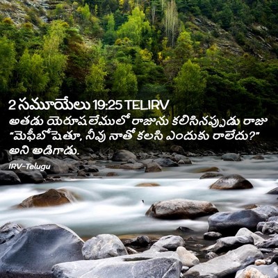 Picture 02 - 2 సమూయేలు 19:25 TELIRV - అతడు యెరూషలేములో - Bible Verse Picture