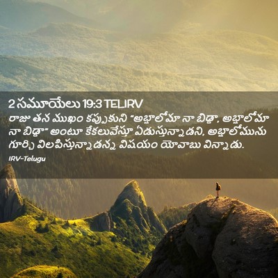 Picture 02 - 2 సమూయేలు 19:3 TELIRV - రాజు తన ముఖం - Bible Verse Picture