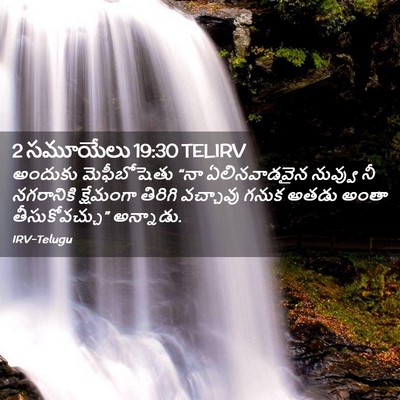 Picture 02 - 2 సమూయేలు 19:30 TELIRV - అందుకు మెఫీబోషెతు - Bible Verse Picture