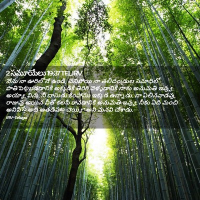 Picture 02 - 2 సమూయేలు 19:37 TELIRV - నేను నా ఊరిలోనే - Bible Verse Picture