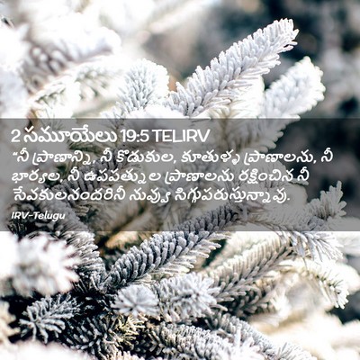 Picture 02 - 2 సమూయేలు 19:5 TELIRV - “నీ ప్రాణాన్ని, నీ - Bible Verse Picture