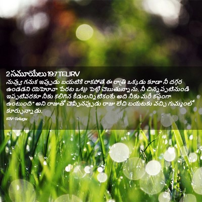 Picture 02 - 2 సమూయేలు 19:7 TELIRV - నువ్వు గనుక - Bible Verse Picture