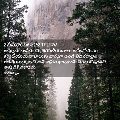 Picture 02 - 2 సమూయేలు 2:2 TELIRV - అప్పుడు దావీదు - Bible Verse Picture