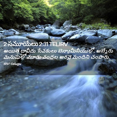 Picture 02 - 2 సమూయేలు 2:31 TELIRV - అయితే దావీదు - Bible Verse Picture