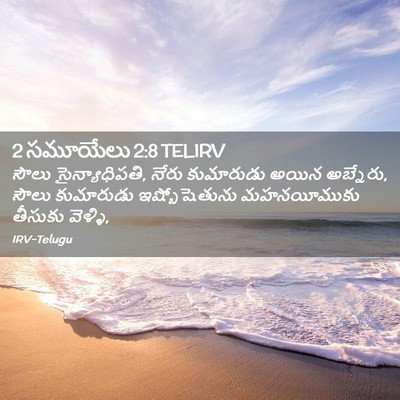 Picture 02 - 2 సమూయేలు 2:8 TELIRV - సౌలు సైన్యాధిపతి, - Bible Verse Picture