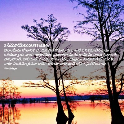 Picture 02 - 2 సమూయేలు 20:1 TELIRV - బెన్యామీను - Bible Verse Picture