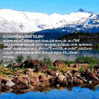 Picture 02 - 2 సమూయేలు 20:12 TELIRV - అమాశా రక్తంలో - Bible Verse Picture