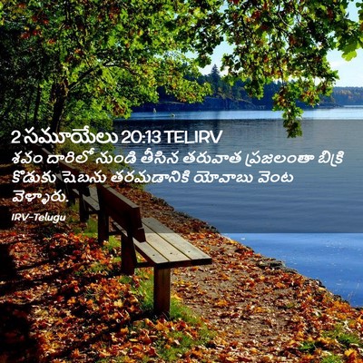 Picture 02 - 2 సమూయేలు 20:13 TELIRV - శవం దారిలో నుండి - Bible Verse Picture