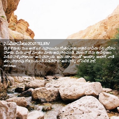 Picture 02 - 2 సమూయేలు 20:21 TELIRV - బిక్రి కొడుకు షెబ - Bible Verse Picture