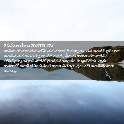Picture 02 - 2 సమూయేలు 20:3 TELIRV - దావీదు - Bible Verse Picture
