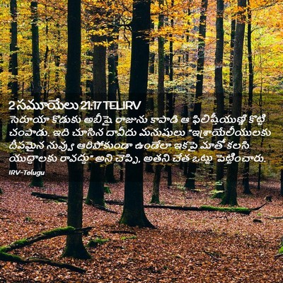 Picture 02 - 2 సమూయేలు 21:17 TELIRV - సెరూయా కొడుకు - Bible Verse Picture