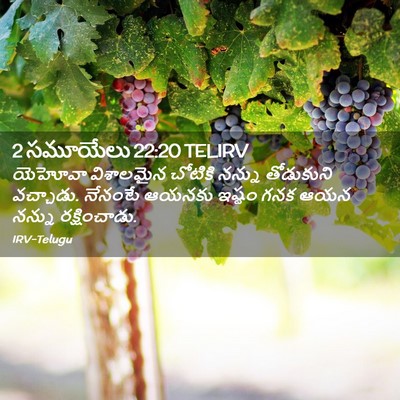Picture 02 - 2 సమూయేలు 22:20 TELIRV - యెహోవా విశాలమైన - Bible Verse Picture