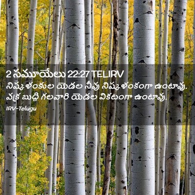 Picture 02 - 2 సమూయేలు 22:27 TELIRV - నిష్కళంకుల యెడల - Bible Verse Picture