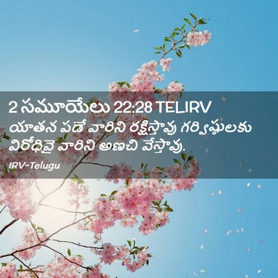 Picture 02 - 2 సమూయేలు 22:28 TELIRV - యాతన పడే వారిని - Bible Verse Picture