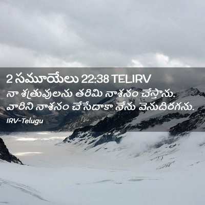 Picture 02 - 2 సమూయేలు 22:38 TELIRV - నా శత్రువులను - Bible Verse Picture