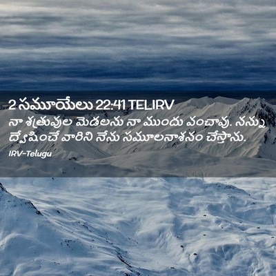 Picture 02 - 2 సమూయేలు 22:41 TELIRV - నా శత్రువుల - Bible Verse Picture
