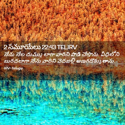 Picture 02 - 2 సమూయేలు 22:43 TELIRV - నేను నేల దుమ్ము - Bible Verse Picture