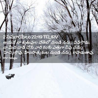 Picture 02 - 2 సమూయేలు 22:49 TELIRV - ఆయనే నా శత్రువుల - Bible Verse Picture