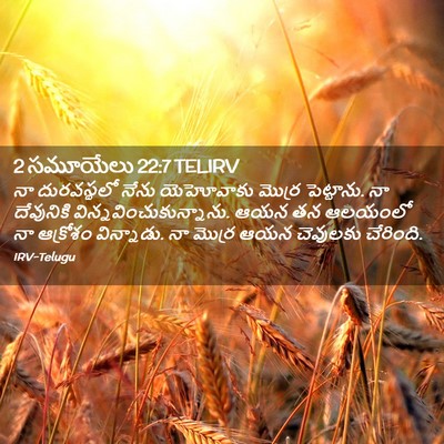 Picture 02 - 2 సమూయేలు 22:7 TELIRV - నా దురవస్థలో నేను - Bible Verse Picture