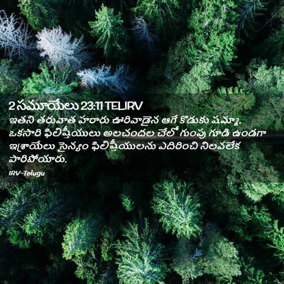 Picture 02 - 2 సమూయేలు 23:11 TELIRV - ఇతని తరువాత హరారు - Bible Verse Picture