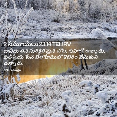 Picture 02 - 2 సమూయేలు 23:14 TELIRV - దావీదు తన - Bible Verse Picture