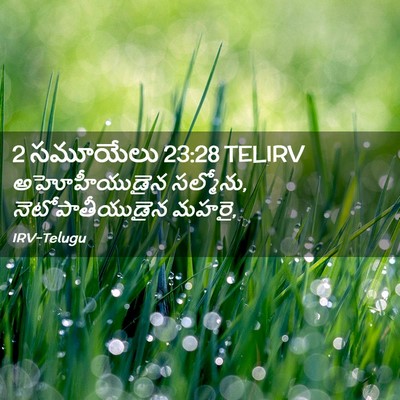 Picture 02 - 2 సమూయేలు 23:28 TELIRV - అహోహీయుడైన - Bible Verse Picture