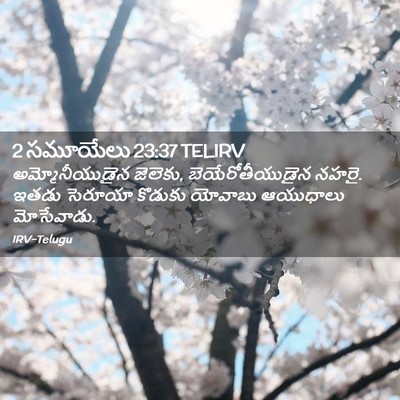Picture 02 - 2 సమూయేలు 23:37 TELIRV - అమ్మోనీయుడైన - Bible Verse Picture