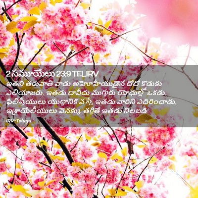Picture 02 - 2 సమూయేలు 23:9 TELIRV - ఇతని తరువాతి వాడు - Bible Verse Picture