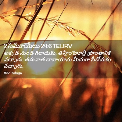 Picture 02 - 2 సమూయేలు 24:6 TELIRV - అక్కడ నుండి - Bible Verse Picture