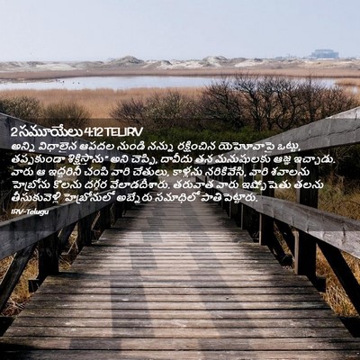 Picture 02 - 2 సమూయేలు 4:12 TELIRV - అన్ని విధాలైన - Bible Verse Picture