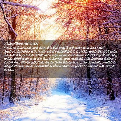 Picture 02 - 2 సమూయేలు 4:8 TELIRV - గోదుమలు - Bible Verse Picture