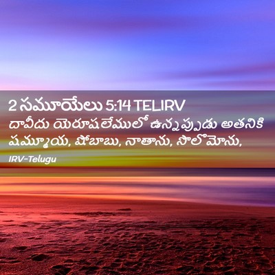 Picture 02 - 2 సమూయేలు 5:14 TELIRV - దావీదు - Bible Verse Picture