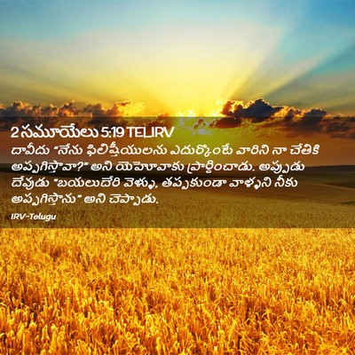 Picture 02 - 2 సమూయేలు 5:19 TELIRV - దావీదు “నేను - Bible Verse Picture