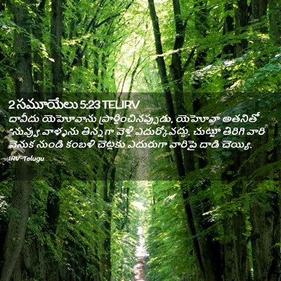 Picture 02 - 2 సమూయేలు 5:23 TELIRV - దావీదు యెహోవాను - Bible Verse Picture