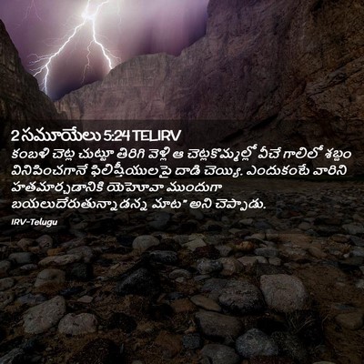 Picture 02 - 2 సమూయేలు 5:24 TELIRV - కంబళి చెట్ల - Bible Verse Picture