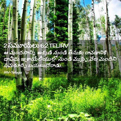 Picture 02 - 2 సమూయేలు 6:2 TELIRV - ఆ మందసాన్ని - Bible Verse Picture