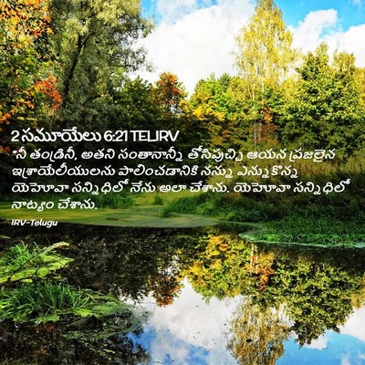 Picture 02 - 2 సమూయేలు 6:21 TELIRV - “నీ తండ్రినీ, అతని - Bible Verse Picture