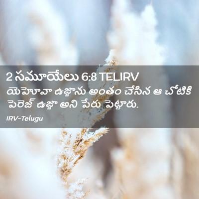 Picture 02 - 2 సమూయేలు 6:8 TELIRV - యెహోవా ఉజ్జాను - Bible Verse Picture