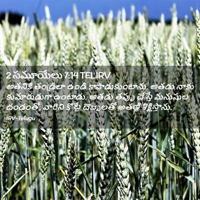Picture 02 - 2 సమూయేలు 7:14 TELIRV - అతనికి తండ్రిలా - Bible Verse Picture