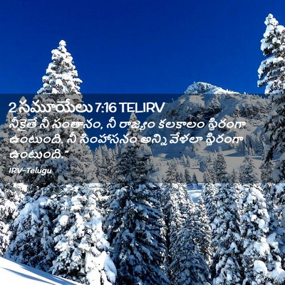 Picture 02 - 2 సమూయేలు 7:16 TELIRV - నీకైతే నీ సంతానం, - Bible Verse Picture