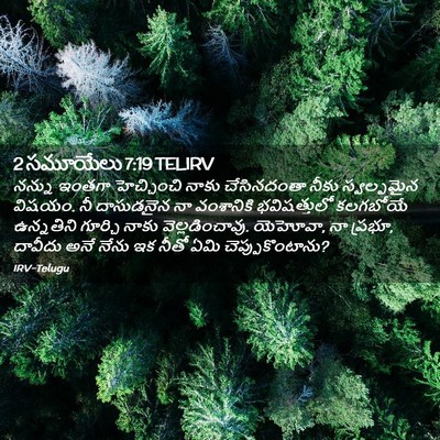 Picture 02 - 2 సమూయేలు 7:19 TELIRV - నన్ను ఇంతగా - Bible Verse Picture